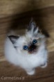 /album/danita/img-2006-jpg/