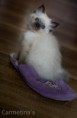 /album/danita/img-2024-jpg/