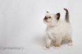 /album/danita/img-0406-2-jpg/