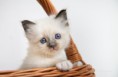 /album/danita/img-0503-jpg/