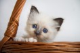 /album/danita/img-0554-jpg/