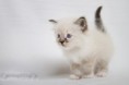 /album/daphine/img-0463-2-jpg/