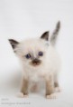/album/dancing-boogie/img-0444-jpg/